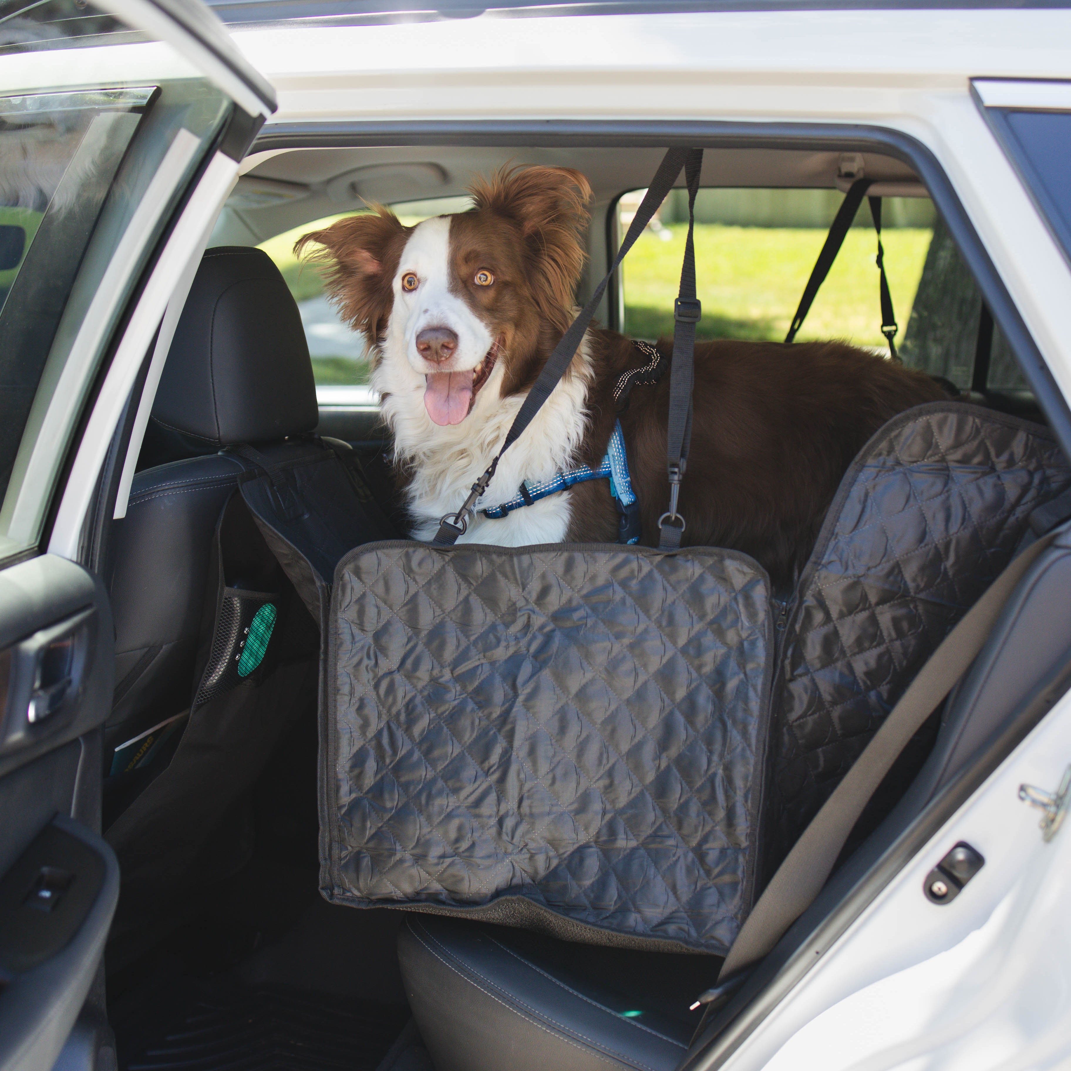 Dog Car Hammock