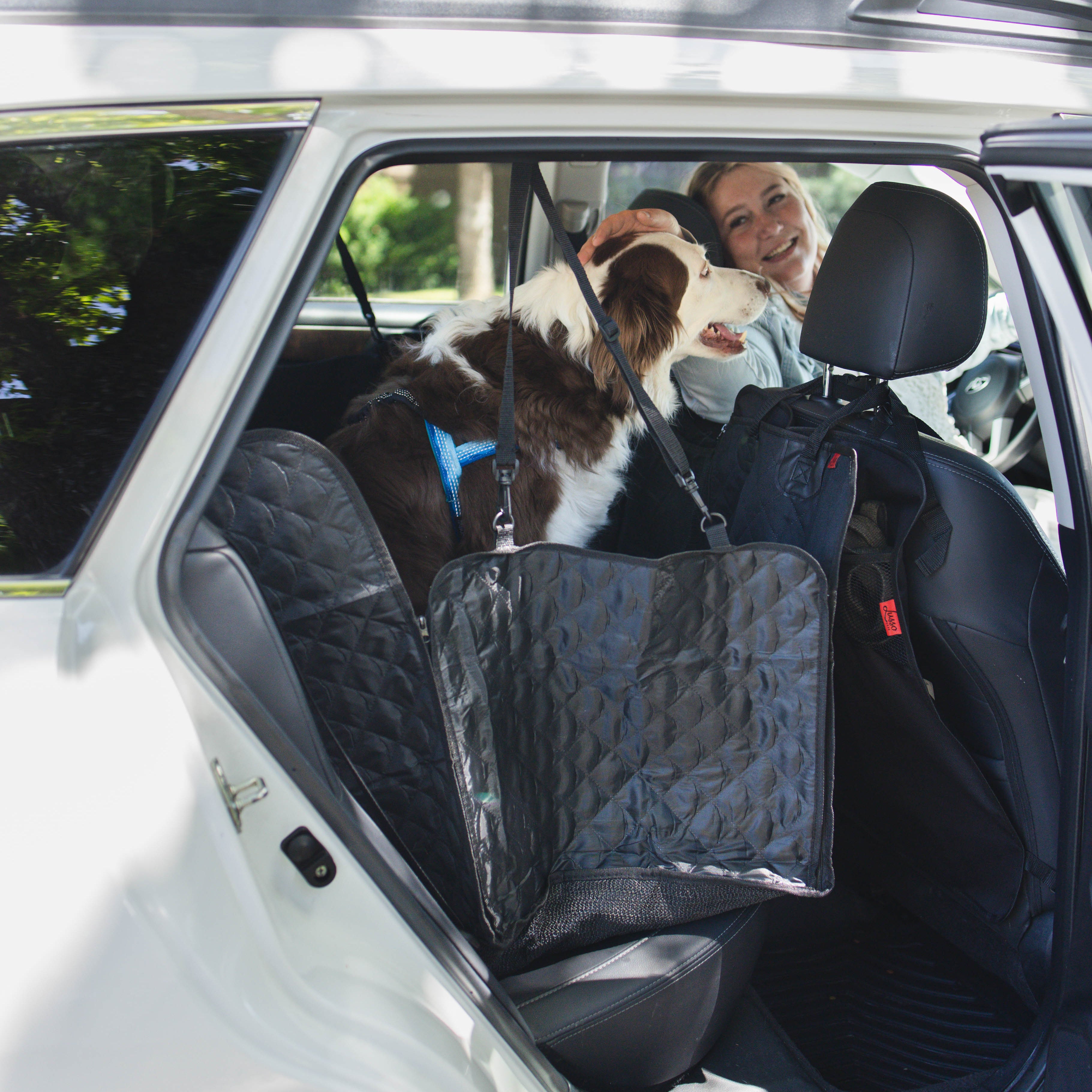 Dog Car Hammock