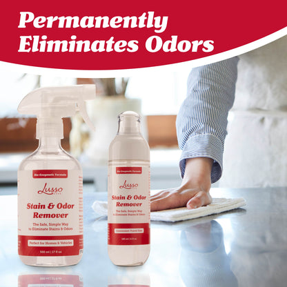 Stain and Odor Eliminator for Cars and Pets (6 Fl Oz)
